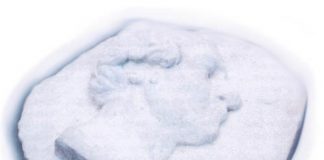 Donazione medaglione di Luigi Borro