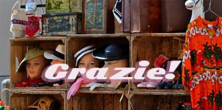 Ringraziamenti al termine di Vi-Ve 2018